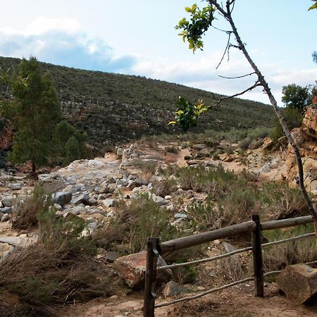 Desert Wind Private Guest And Game Farm Montagu Luaran gambar